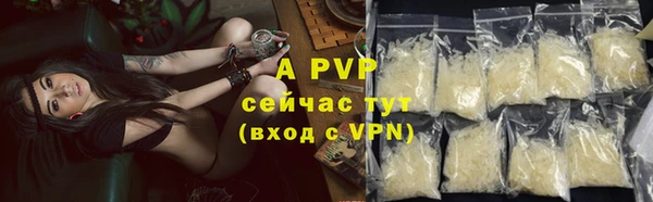 гидра Дмитриев