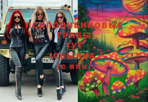 гидра Дмитриев