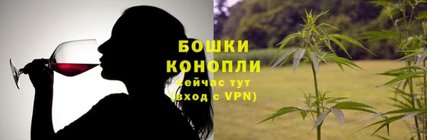 шишки Гусев