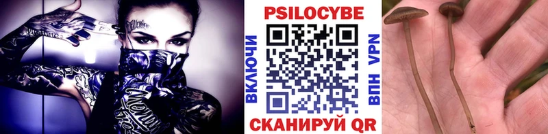 где найти наркотики  это телеграм  Галлюциногенные грибы прущие грибы  Нефтеюганск 